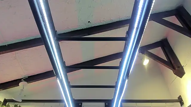 ItaloMoore online show from November 20, 2025, 11:22 am