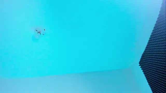 Ellope  online show from October 22, 2025, 11:03 pm