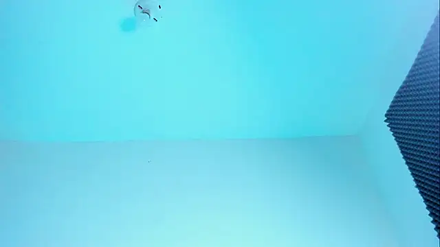 Ellope  online show from October 21, 2025, 11:15 pm