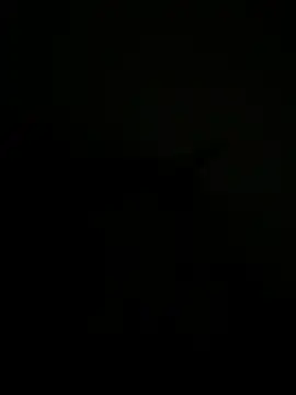Snapshot of FirstTimeEvr chatting on July 7, 2026, 7:34 am FirstTimeEvr online show from July 7, 2026, 7:34 am
