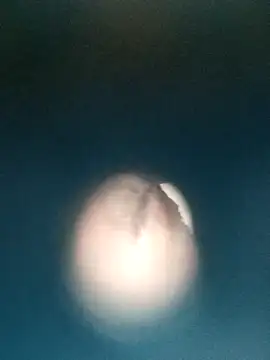 Sonya51561 online show from December 19, 2025, 3:36 pm