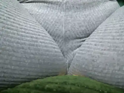 Darkplay extreme online show from December 17, 2025, 11:32 pm