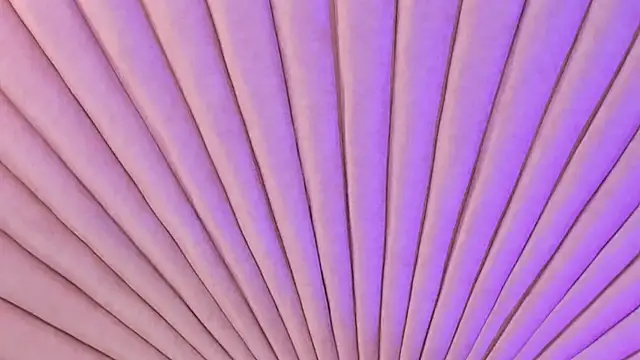 EmaDuff online show from September 29, 2025, 12:00 pm