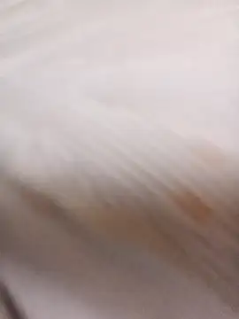 Snapshot of sulove_xx chatting on March 31, 2026, 11:40 pm sulove xx online show from March 31, 2026, 11:40 pm