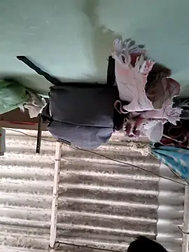 akshant1234 online show from November 8, 2025, 5:11 am