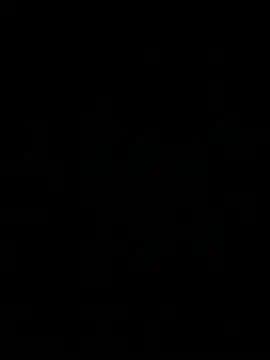 HaltBrand online show from November 26, 2025, 1:55 pm