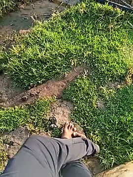 dolphiinn online show from March 21, 2026, 1:40 am