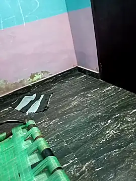 dolphiinn online show from November 18, 2025, 3:26 pm