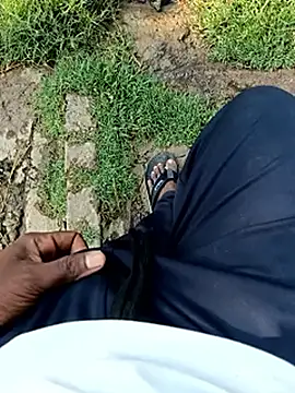 dolphiinn online show from April 11, 2026, 11:03 am