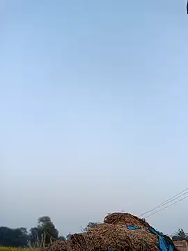 Pinky12A online show from January 12, 2026, 11:39 am