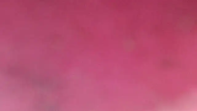 Shantall ks online show from February 20, 2026, 3:36 am