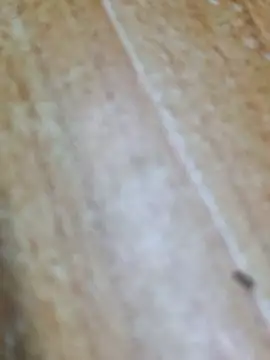 Markroco696 online show from September 28, 2025, 3:46 am