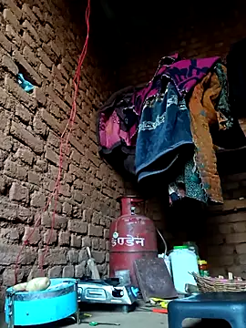 cute diya 12 online show from February 17, 2026, 2:53 am