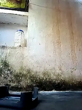 cute diya 12 online show from February 10, 2026, 3:05 am