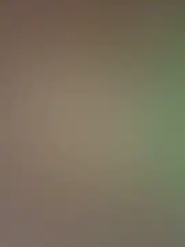 Snapshot of SweetBunnyGF chatting on February 13, 2026, 10:54 pm SweetBunnyGF online show from February 13, 2026, 10:54 pm