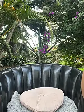 Snapshot of AliceMrtnz chatting on February 12, 2026, 7:35 pm AliceMrtnz online show from February 12, 2026, 7:35 pm