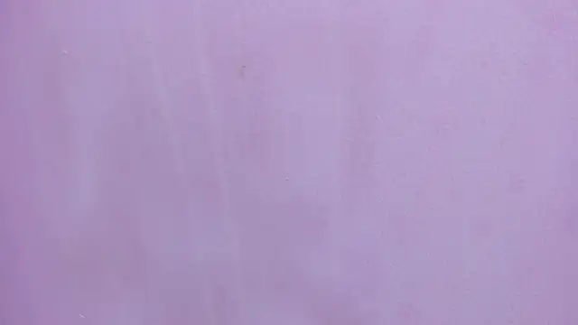 scarlett646 online show from February 28, 2026, 3:17 am