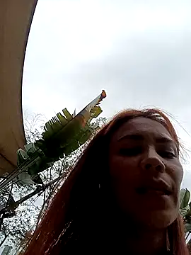 dulcelatin21 online show from October 23, 2025, 9:24 pm