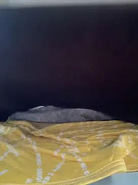 REIJI0323 online show from September 14, 2025, 6:58 am