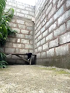 Makemecum634941 online show from October 6, 2025, 8:26 am