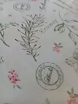 bemmagrinho36 online show from April 18, 2026, 12:51 pm