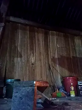 Snapshot of Ngocmi909 chatting on February 25, 2026, 11:43 am Ngocmi909 online show from February 25, 2026, 11:43 am