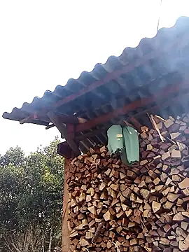 Ngocmi909 online show from January 13, 2026, 1:09 am