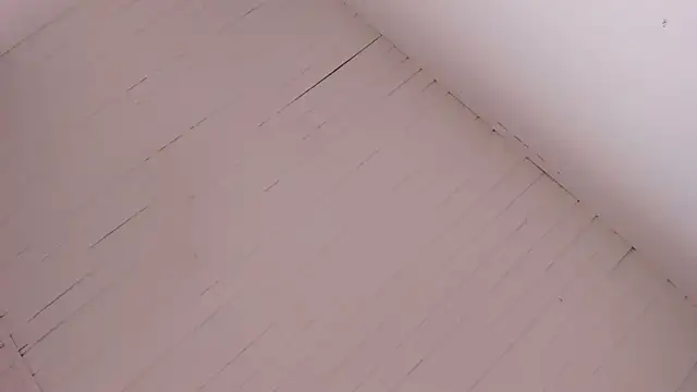 BellaBoobs  online show from October 15, 2025, 7:33 pm