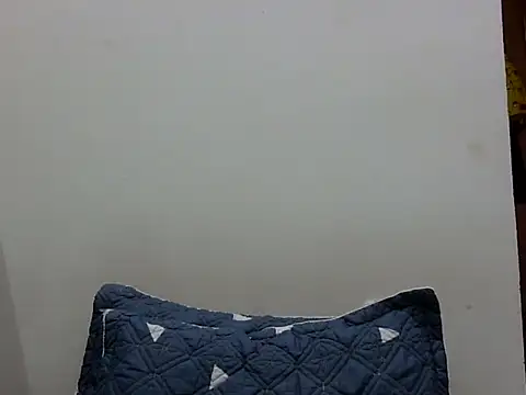 Kiko sunflower online show from March 17, 2025, 6:07 am