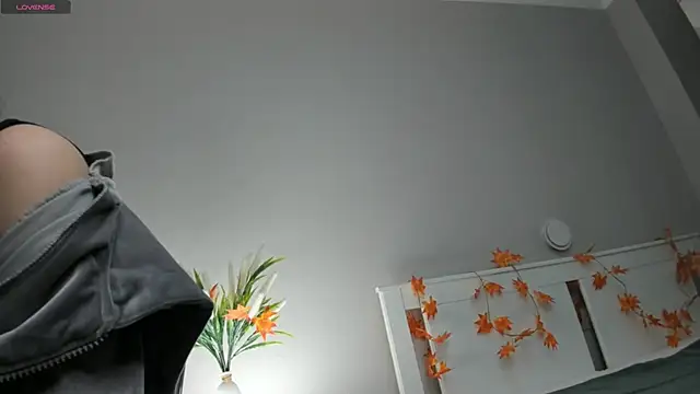 AuroraVice online show from November 27, 2025, 6:03 am