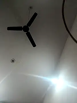 Appypie online show from November 18, 2025, 5:44 am