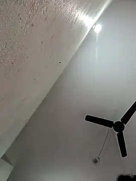 Appypie online show from November 11, 2025, 5:46 am