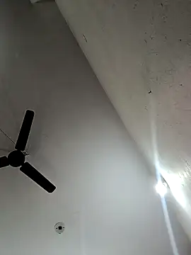 Appypie online show from November 12, 2025, 6:39 am