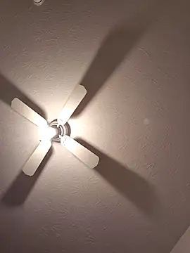 Danypeluche online show from November 24, 2025, 8:31 pm