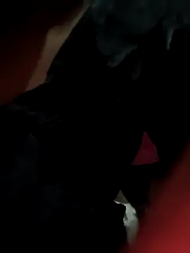 Antique-stickchart-couple online show from November 11, 2025, 12:55 pm