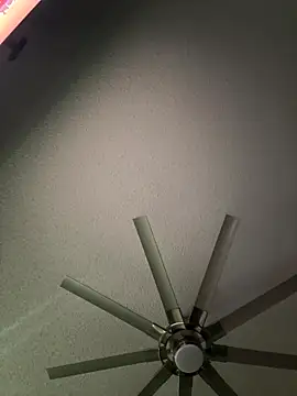 Scattyboo online show from December 21, 2025, 7:54 am