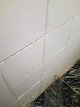 kelvinjesus34 online show from October 19, 2025, 6:38 am