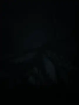 xxminou online show from July 2, 2026, 2:34 am