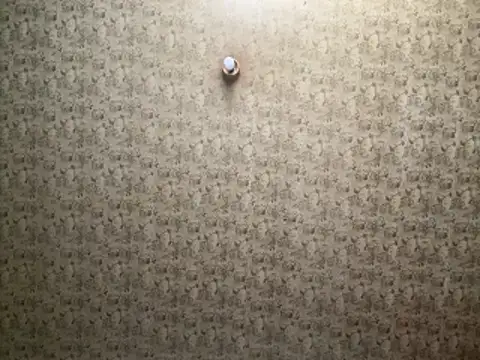 Tookey012 online show from April 19, 2026, 7:09 am