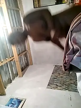 shekana online show from October 10, 2025, 8:48 am