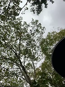 GeilerHSVFAN1989 online show from October 16, 2025, 1:41 pm