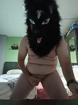 Snapshot of Wolf_Okami_SP chatting on July 21, 2026, 2:29 pm Wolf Okami SP online show from July 21, 2026, 2:29 pm