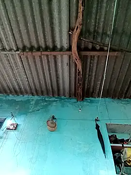 Hot-honi online show from September 21, 2025, 11:48 am