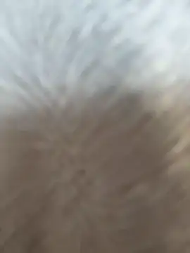 VendiMur online show from March 27, 2026, 1:03 am