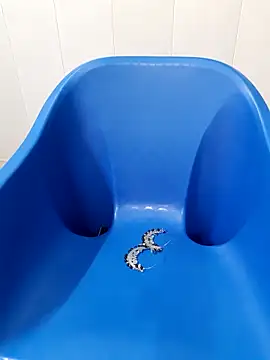 siya rani67 online show from September 14, 2025, 3:40 am