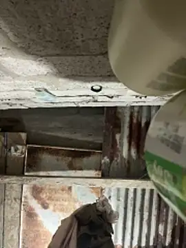 SaraBust online show from April 7, 2026, 4:25 am