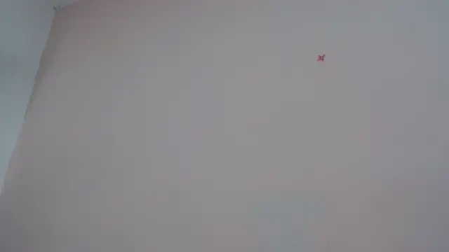 akisha lims26 online show from October 4, 2025, 1:01 pm