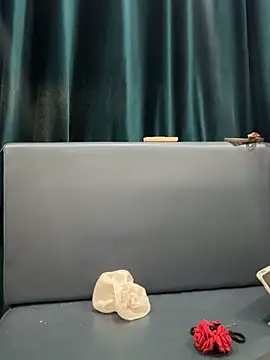 Snapshot of Xiaokui-04 chatting on October 19, 2025, 3:26 pm Xiaokui-04 online show from October 19, 2025, 3:26 pm