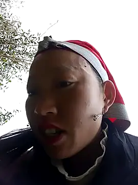 tcm-cute online show from November 12, 2025, 7:34 am