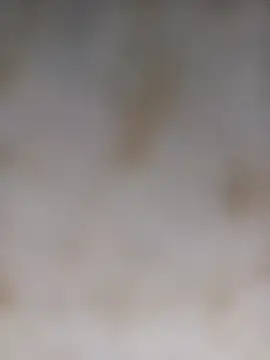 Payal950 online show from October 5, 2025, 12:56 am